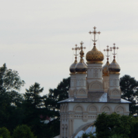 Купола Рязанского кремля