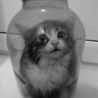 заКотовка на зиму)