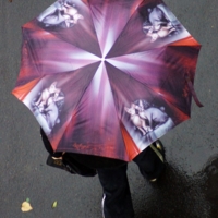 Первые листочки осени