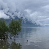 Облачность