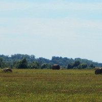 Летние хлопоты