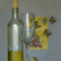 Этюд с бабочками