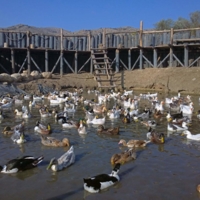 Водные процедуры