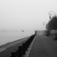 Волга в тумане