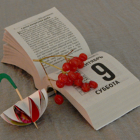 Сентябрь...9...суббота