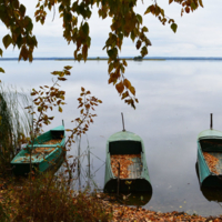 Осень приплыла