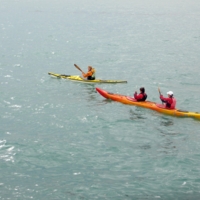 - Правым гребём, правым ...