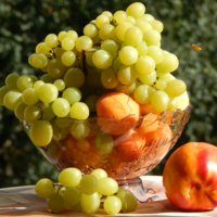 Полёт пчелы