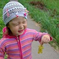 Фу-у-у, кислятина ...