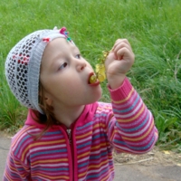 - Попробуем ...