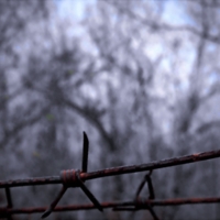 Рад бы в Рай....