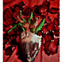 "Сердце оживает от любви"