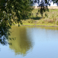 ...а на том берегу...