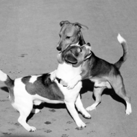 Первая встреча