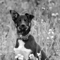 Слушаю вас внимательно!