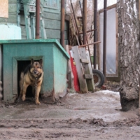 Столбовой дворянин