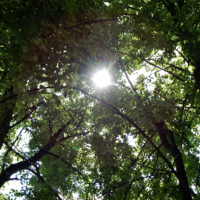 Над головой