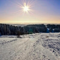 В морозный день...