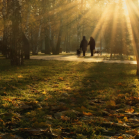 Утро в парке