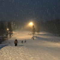 Зимняя ночь в Сибири