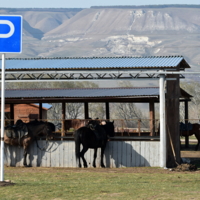 парковка в горах