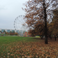 Осень в парке.