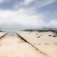  позови меня с собой 