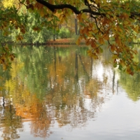 Осенняя пастель