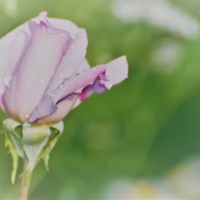 просто утро