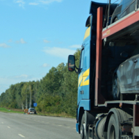 "Кому яблочки? Кому меду?"