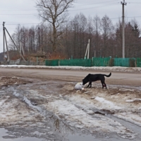 Очень хочется есть