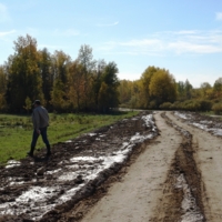 После осенних дождей 