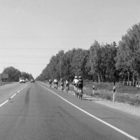 Тише едешь...