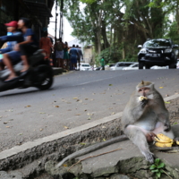 Хозяин положения