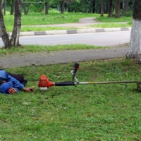Тихий час