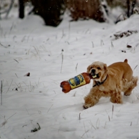 Смотри, что я нашёл...!