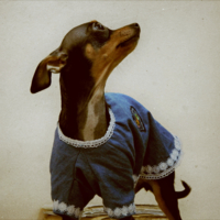 Где конфета за съемку???