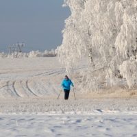 Лыжная прогулка