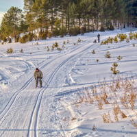 Отдых на природе...