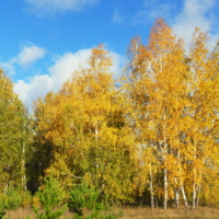 Осень,рыжая подружка...