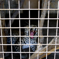 заКВАДРАТНАЯ жизнь