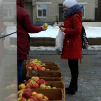 Яблочные ряды