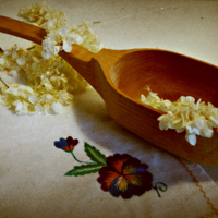 Сон банной ложки