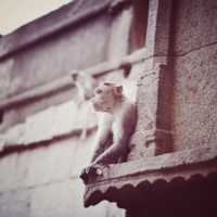 Рассвет иль закат?