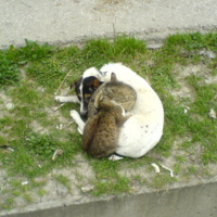 Теплое место