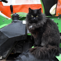 царь трактора