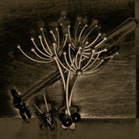 "Свидание" под присмотром