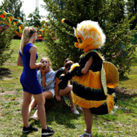 Пчелиные подружки