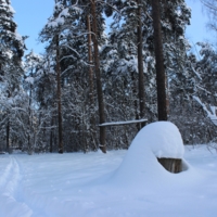 Увяз по самую макушку