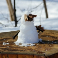 И даже пень в весенний день....